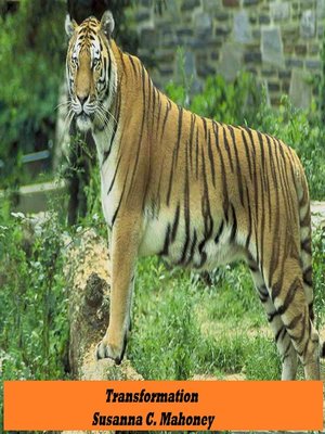 cover image of Transformation